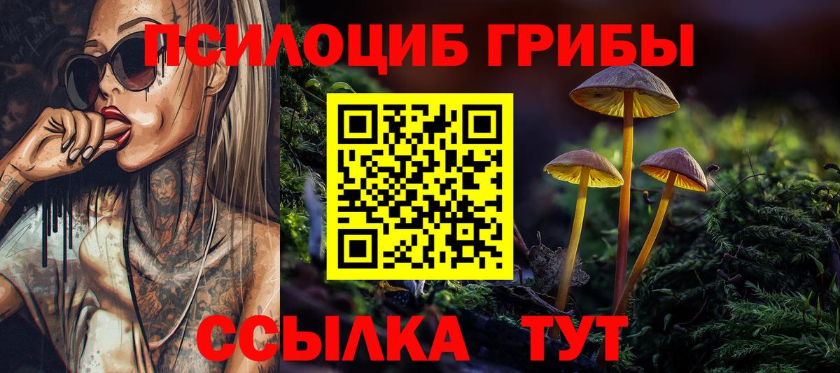 Псилоцибиновые грибы Cubensis  Вход с VPN  где купить наркотик  Галлюциногенные грибы мицелий  Ставрополь 