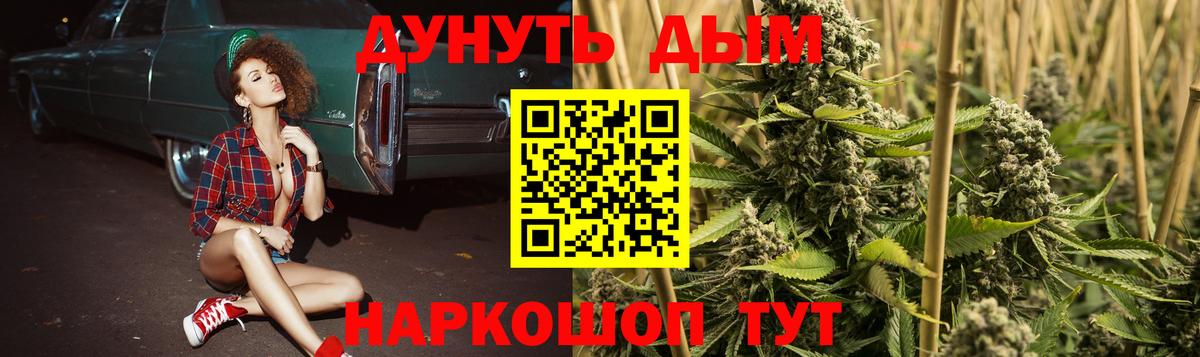 МАРИХУАНА SATIVA & INDICA Ставрополь